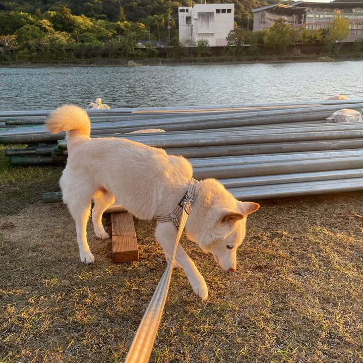 756e588f ae47 4d66 9cc6 d390ebef0f0f 1636546743463