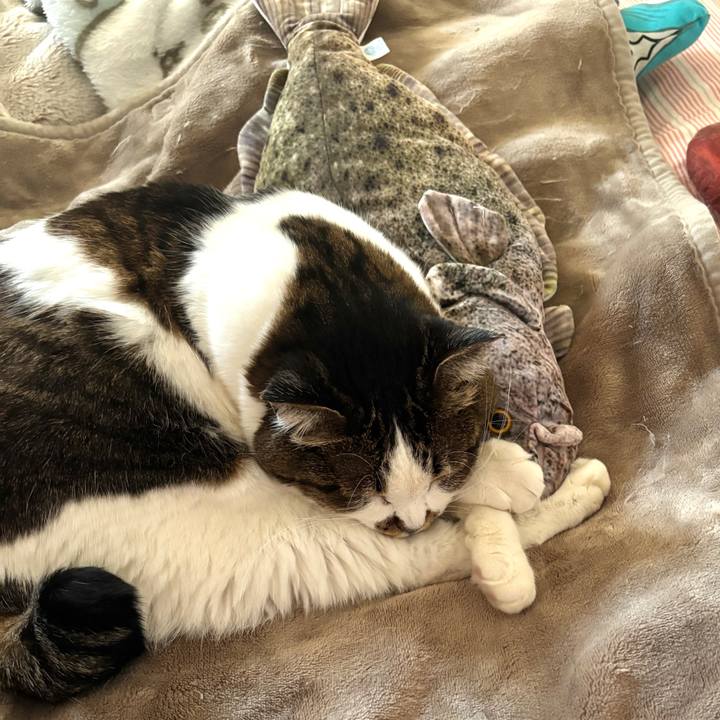 756e7743 540d 4909 bfc9 1fd76dcec8fa 1772514810164