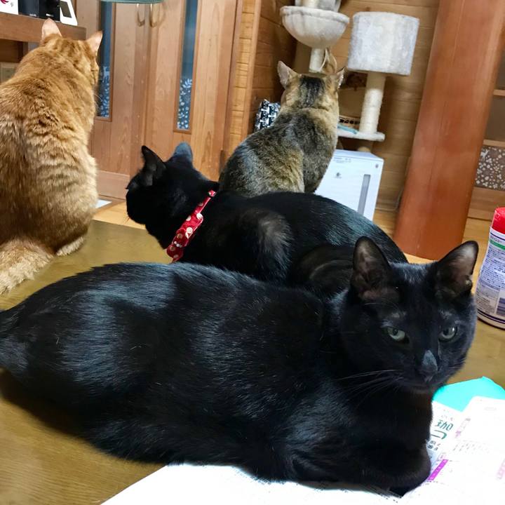 756e8a69 f487 41c1 b48f 54bee85cf685 1549436959980