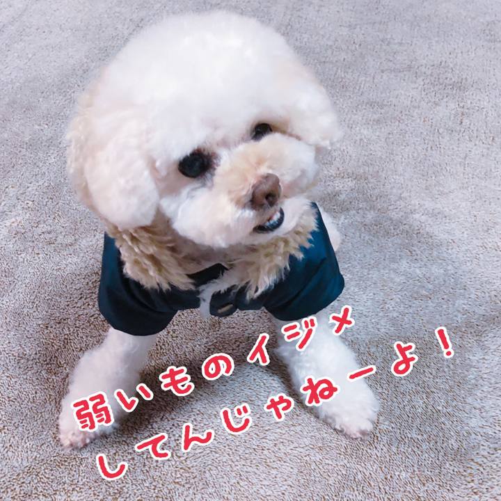 756e92e0 9506 4dd3 9806 0692885b9de2 1550014116869