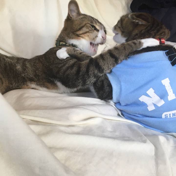 756ee9c6 7c02 44fe 8e66 cb9ab0d0dfc7 1678183348241