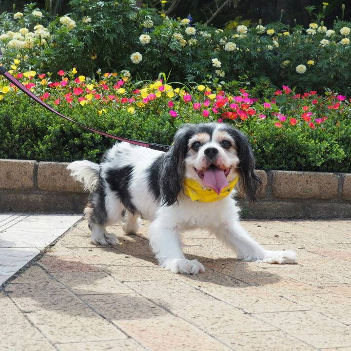 756eede4 95eb 4ffe 97dc 3542b03ddbf4 1534568539859