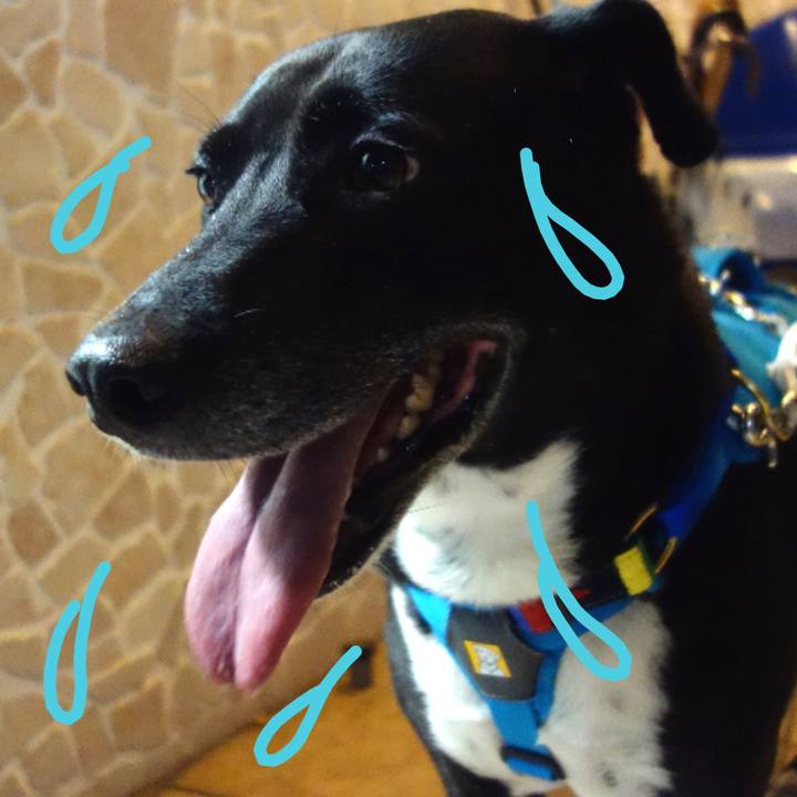 756f1c61 b282 4a78 bc79 cc3c84c7300a 1666350999810