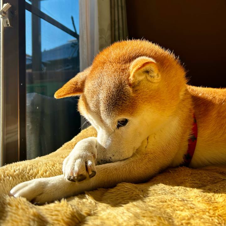 756f5d31 1994 46c2 8998 d24bca9468c0 1770203509905