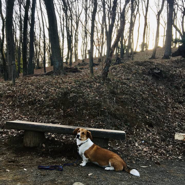 756fae26 16f3 4814 8785 635c77e70d9a 1613439566269