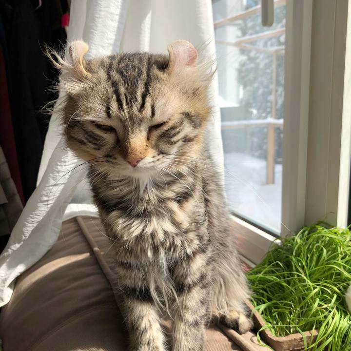 756fb0c6 af48 4997 8d73 5e1ea49cb388 1521517552264