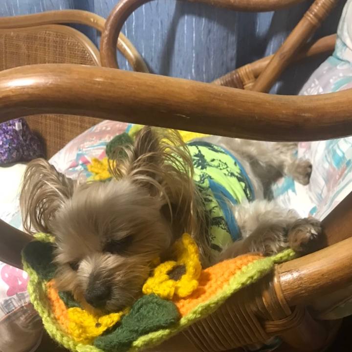 75701780 3190 4bb3 8208 55aa868e2984 1586942835858