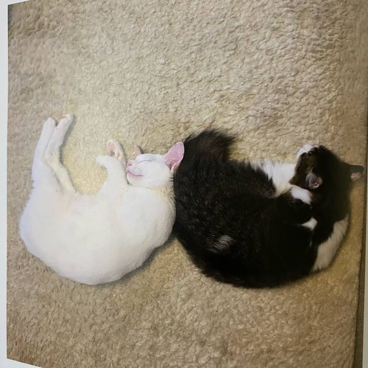 75701f1a bae3 4ebb 83b8 9213e5ac5635 1663454343503