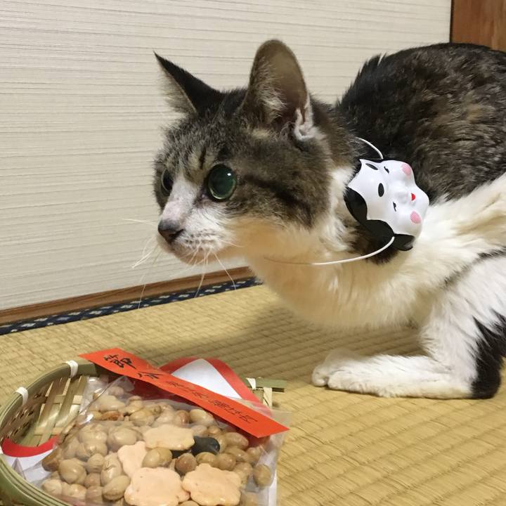 75705445 c371 4f64 a267 cd30835ed4bd 1738361381623