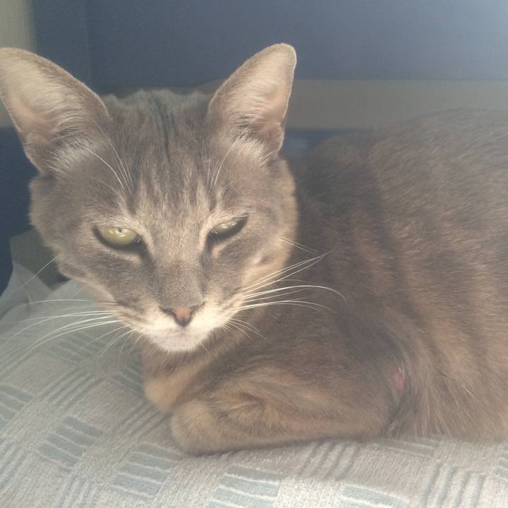 75705c68 0ca2 4dff 93aa 8fc5ca410a2d 1524287427164