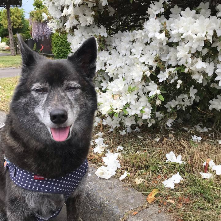 7570726c eb8e 4a9f 86f8 f55f3b9af693 1560691385347