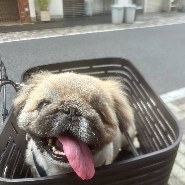 7570b9cc 86c4 4de7 b9d3 a3d2bdd09468 1726708941418