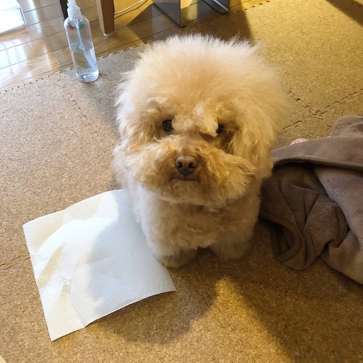 7570c0a6 5f36 44eb 9760 de198defd1e9 1526940286120