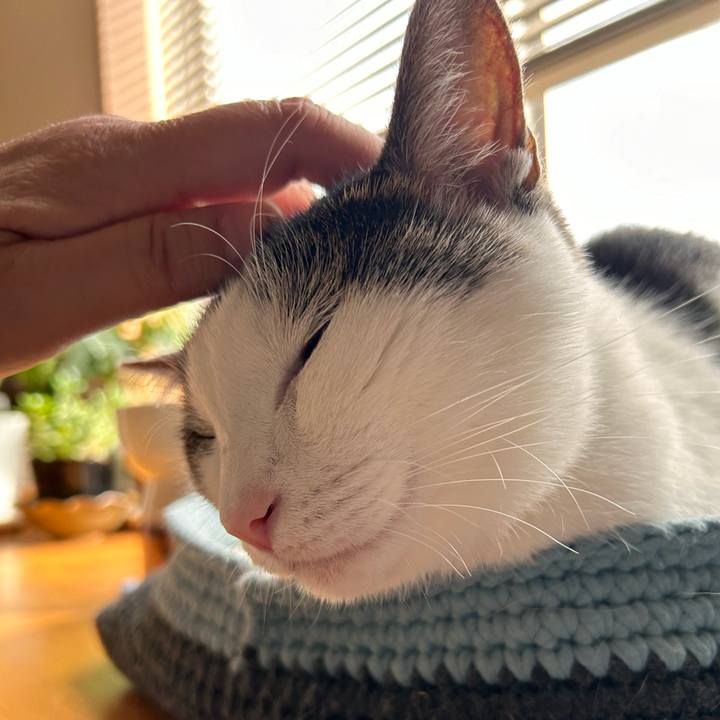 7570c2c5 3289 471a 9cfe e308940778a9 1723763494937