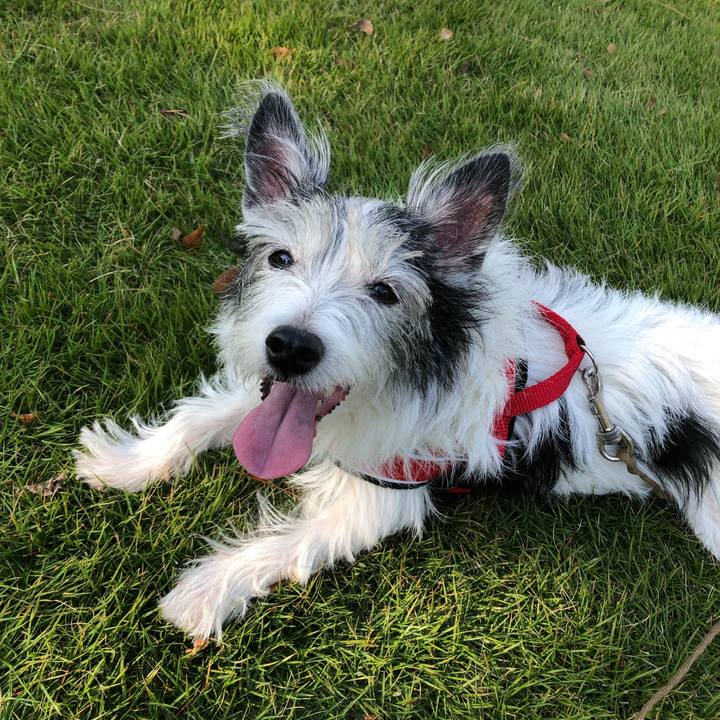 7570ce59 cce4 4b1e b224 71068ea8523d 1590926669459