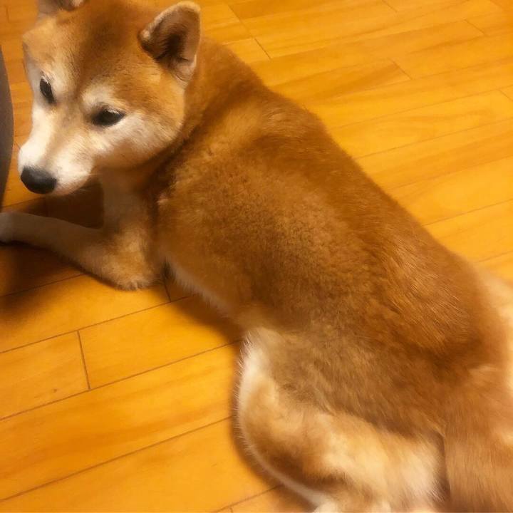 7570e701 227f 4478 92de 57067b72f240 1548229824008