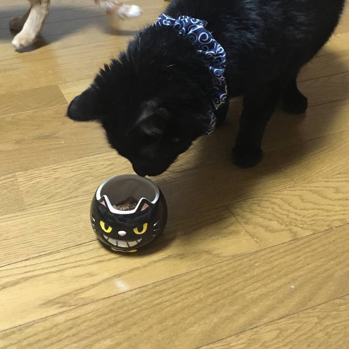 75710802 906b 4992 8756 affdbd087174 1550311933449