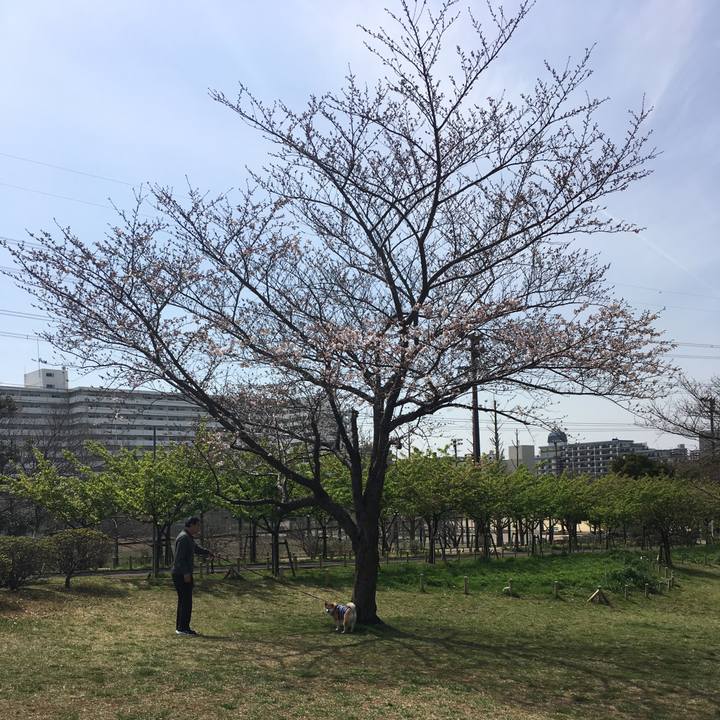 75712b08 b194 4d78 ab75 ad24e9529ff2 1553489021760