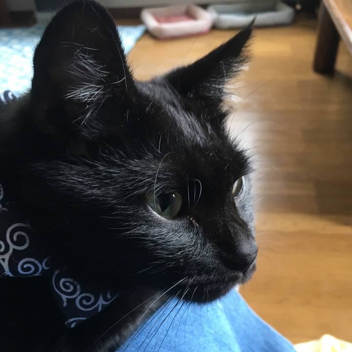 75716b3e 718a 4b8d a3f9 88e107577771 1537661296903