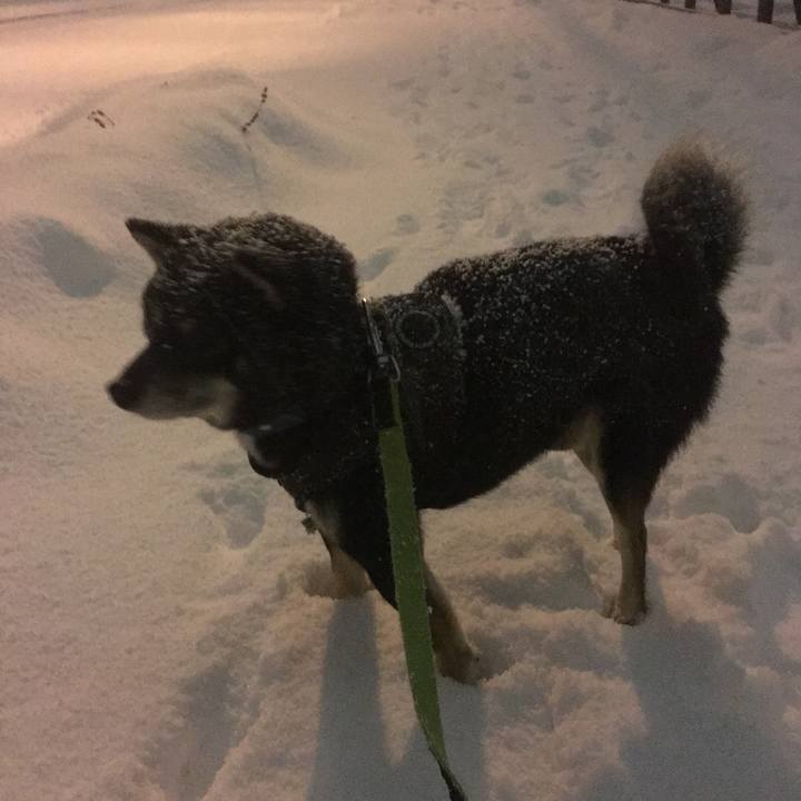 7571c14e d723 416a 95c1 9cc4cf0f6225 1512464705400