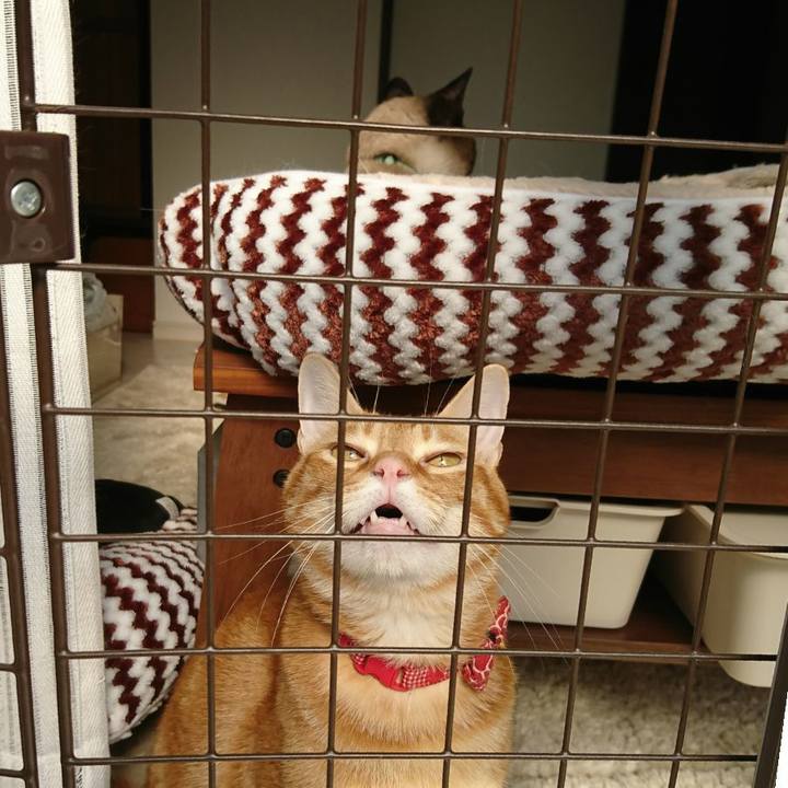 7571d1ac 5192 4c6b bb5b bba8f0c77b37 1516424881046