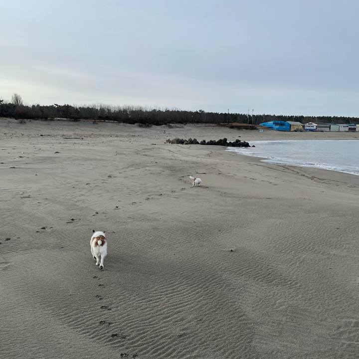 7571d953 8e27 4fa1 914d 4836975a5230 1772755316516