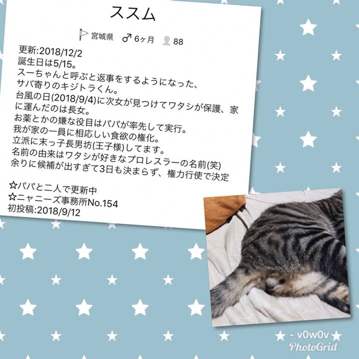 75722033 ca1d 4d2e 86e7 3078e4544645 1543719553767