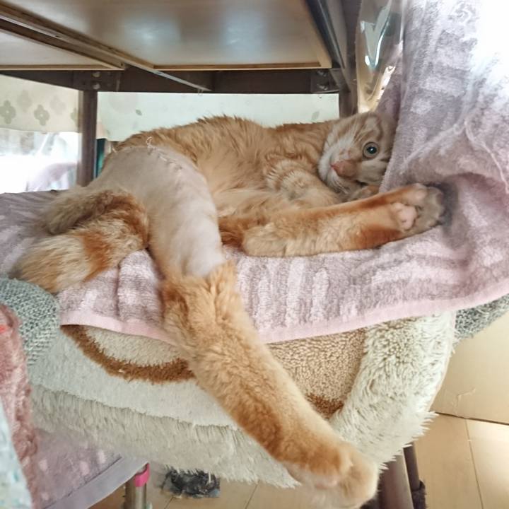 75723304 fbdb 4933 82fe a9ef3e72cac7 1654376825650