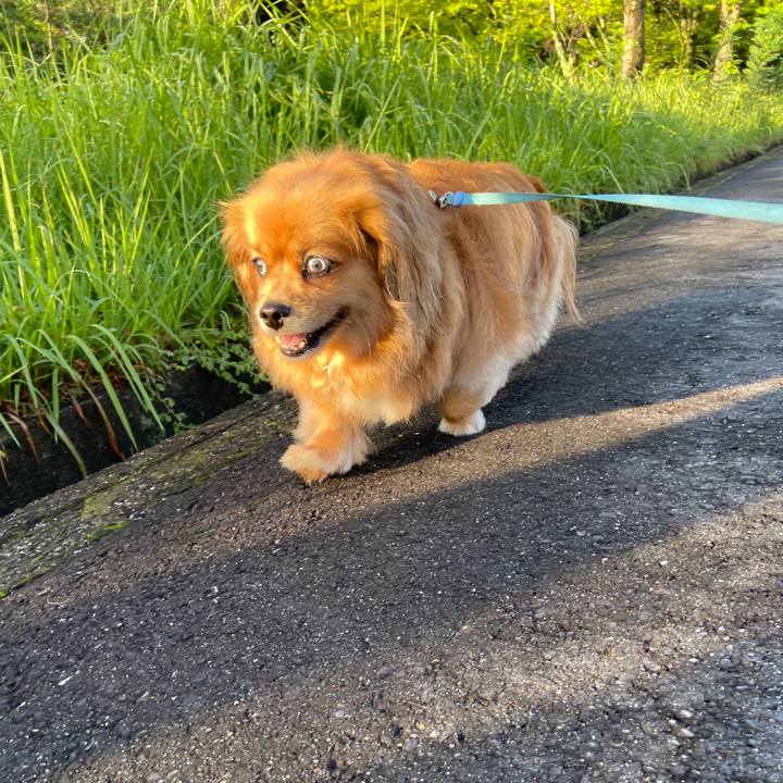 75724acc 0b86 41e6 95b4 abbc8faef5d5 1657661327793