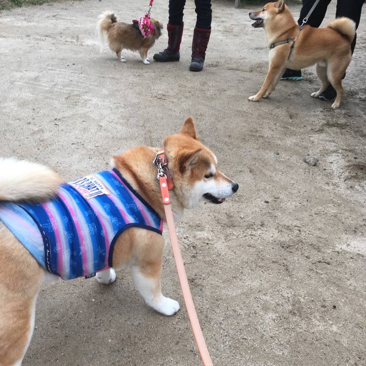 757264cb 14d2 4b21 bc3c b24005d7d2bf 1552721530881