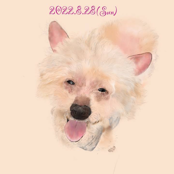7572b632 9573 445e a4bb e84a06e7f59b 1661667804046
