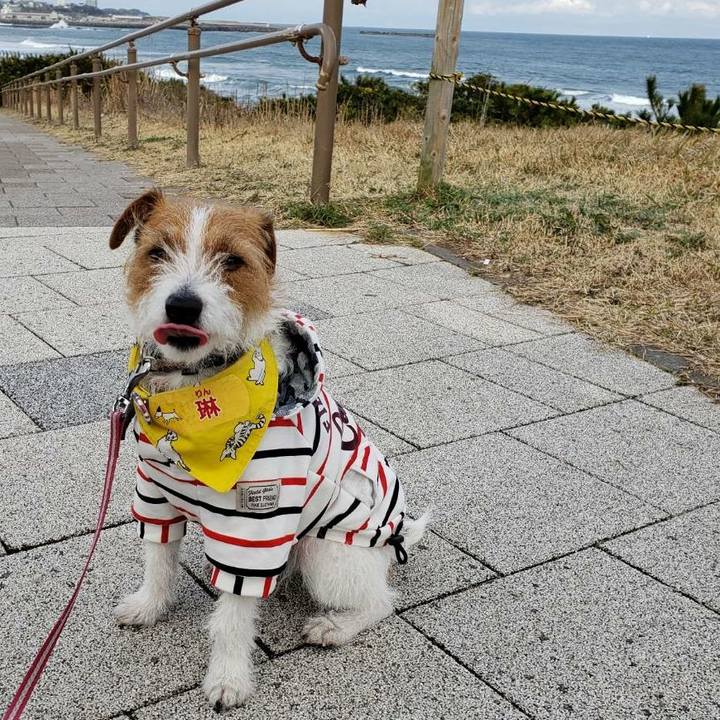 7572bbc8 dcf8 45b8 904f df77ba9ed75d 1582958708543