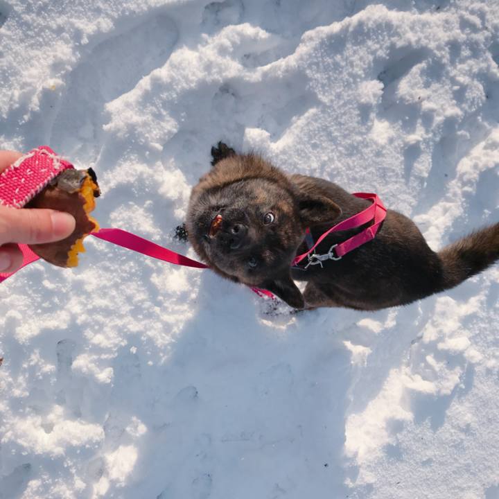 7572e2cb e8b3 4740 a042 ab7d93650649 1515889641075