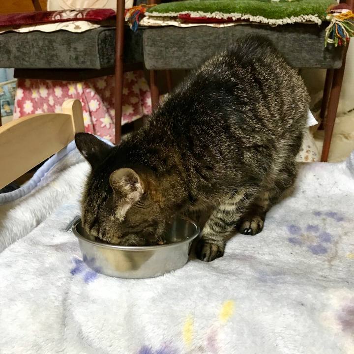 7573111a acd1 4cd5 b133 06d1b0bce4a1 1557751497890