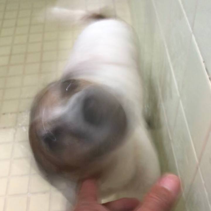 75731440 e391 4bb1 8380 7ed3ee07e1d3 1525521504044