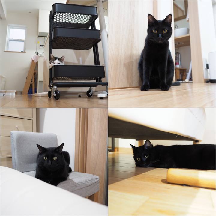 757322d1 3c34 4e23 b6b3 82224e2b63db 1536276881713