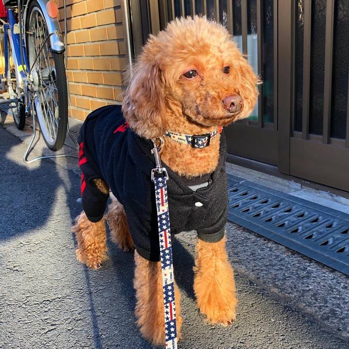 75736cfb a3b6 4c34 a64c 41fd593c52ac 1609418745516