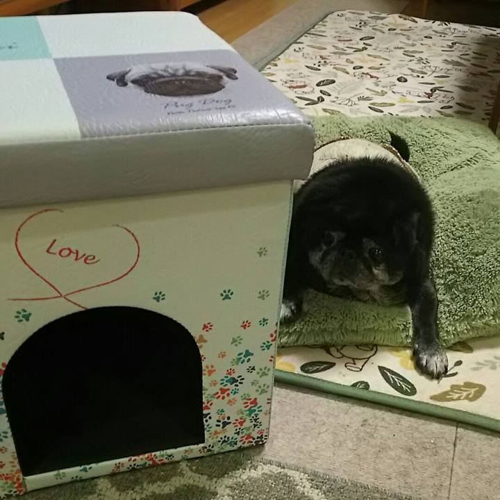 7573de17 0e3a 4cb3 9957 eca1901a696e 1543064375223