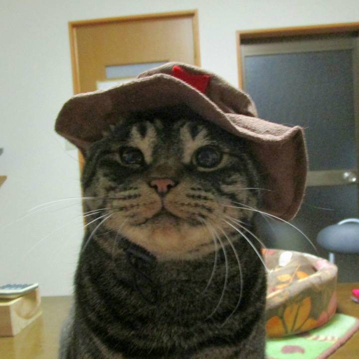 7573df4a 0f5c 42f5 afc4 1a4dad8f180f 1515583613894