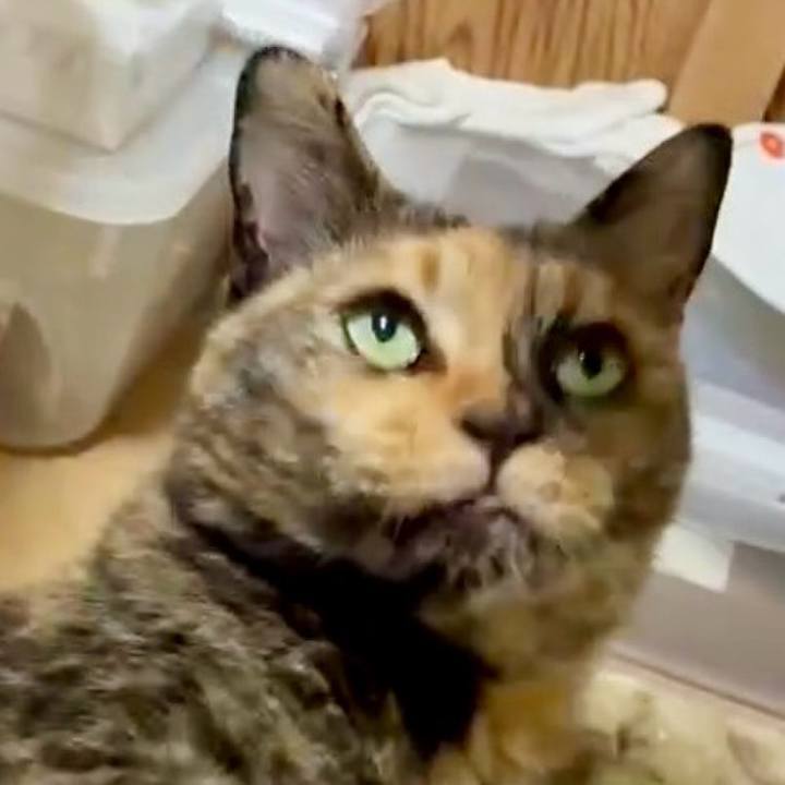 7573fd0b e8ee 4bd9 8c94 aed599a0e735 1749936240760