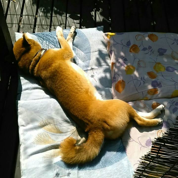 757408ee 5369 4649 8660 7d58406b6f89 1551752049178