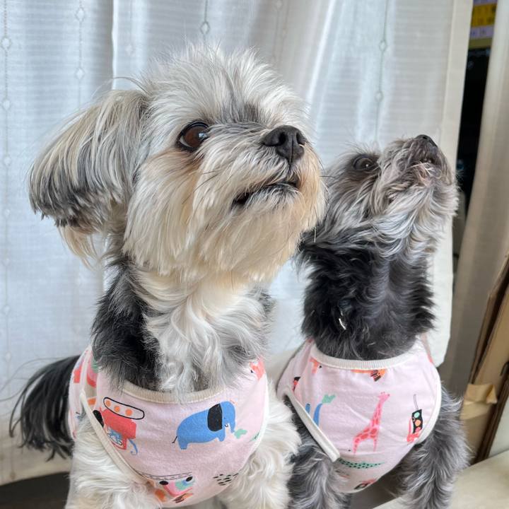 75744ebf b79b 4e58 8225 3fb5711c3880 1774344450720