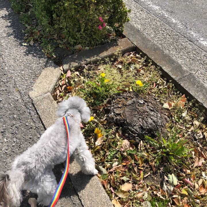 75745094 286a 47a3 9948 f793a3ad63d4 1554516134307