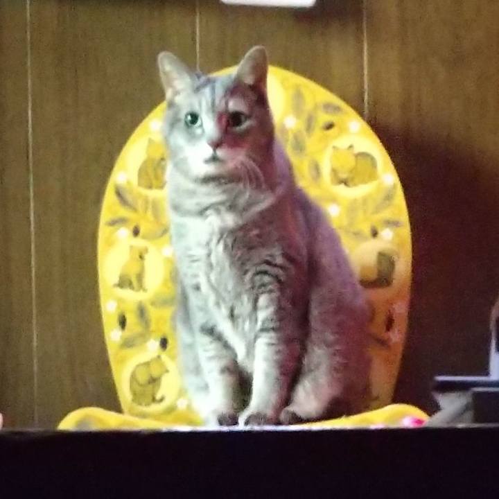 75745e1a b885 419b 8dc7 6d94c7ab887f 1635659135412