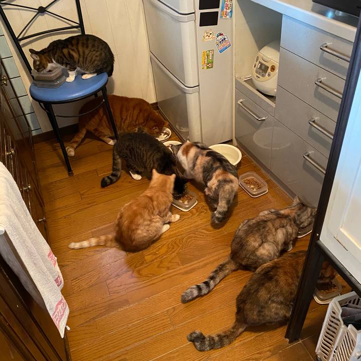 757474e6 2693 498d a9eb 657248ad4cc9 1609649897665