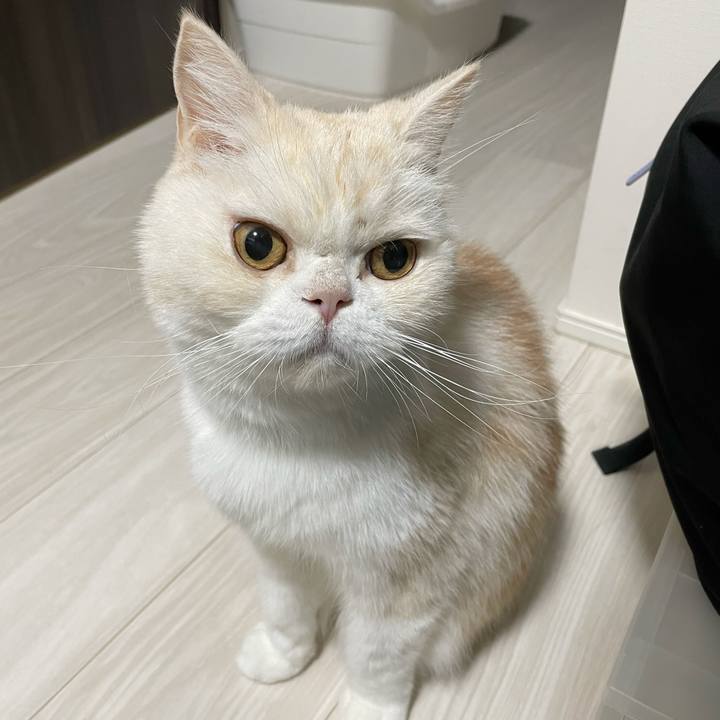 757479d7 4d7f 4a26 a851 8f8e14394b2b 1763074785056