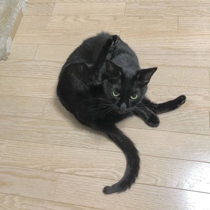 75749785 8b7b 44da 901b b52e8ef5ba56 1617713355628