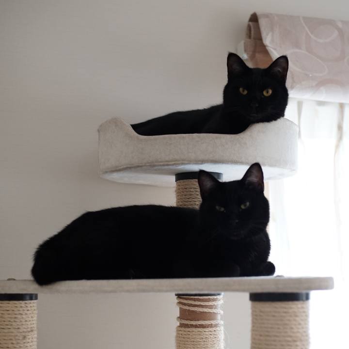 7574bd89 f51a 46e0 80cc 4565b078b19f 1531729298100