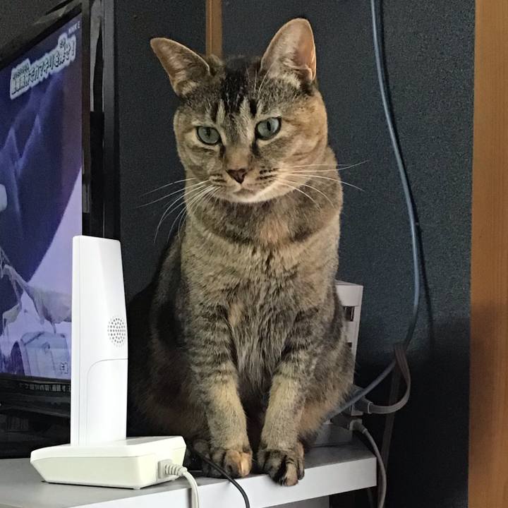 75750ba8 c43c 4985 ba91 644141609e87 1630139487228