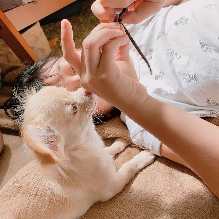 75752a61 90b4 4da2 b990 ec83973af191 1596339313198